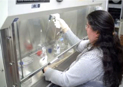 非標(biāo)超凈工作臺